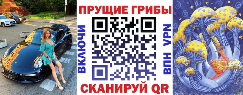 Галлюциногенные грибы мицелий Купить закладки Котово