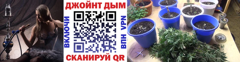 Купить  Котово  Бошки марихуана SATIVA & INDICA 